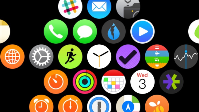 Apple Watch App Screen